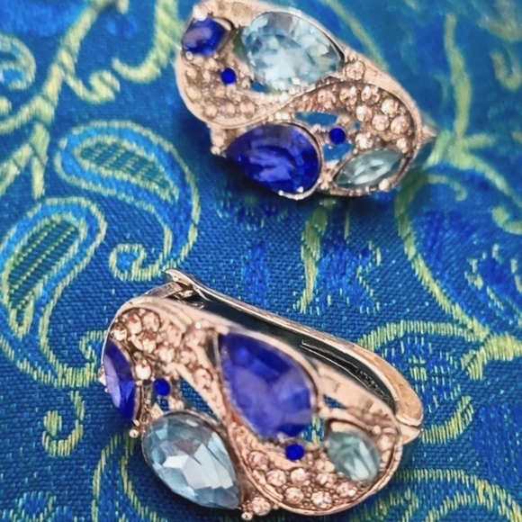 Jewelry - Sapphire Crystal Hoop Earrings